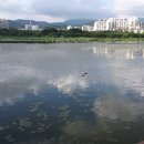 영화정