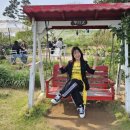 카페 데이지 이미지