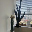 최신외과의원 이미지