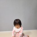 베리디