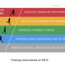 스텝업트레이닝 이미지