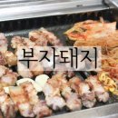 놀다가면돼지 이미지