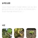 영농법인 디엠지 소나라 | NH오늘농사 <나의 영농일지> 챌린지 참여 후기🌱