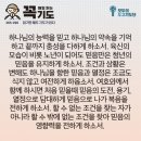 콩깍지 이미지