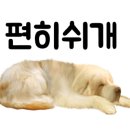 하비멍루프탑