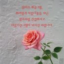 미소마을경로당 이미지