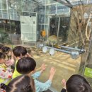 버클리 어린이집 이미지