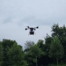 행정용 50 이미지