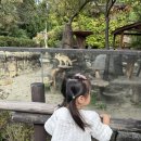 꽃동산어린이집 | 용인 에버랜드 눈치게임 완전 실패 후기 + 케데헌