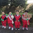 해바라기자연유치원 이미지