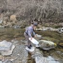 진동 계곡 민박 이미지