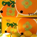 좋은예감 네이버블로그