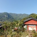 평리 마을회관 이미지