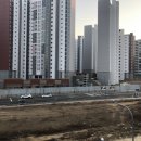 초롱꽃마을6단지 정류장 이미지