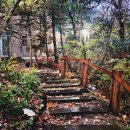 박경숙헤어 이미지