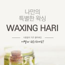 왁싱하리 - 강남구 선릉로 431 | 왁싱하리
