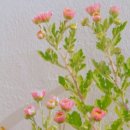 보물섬노래클럽 - 중구 운중로21번길 8 | 보물섬노래클럽