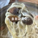 송원칼국수 티스토리