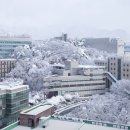 상명대학교 이미지