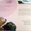 풀잎코너 네이버블로그