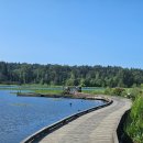[밴쿠버] 버나비 가족과 함께 가볼만한 산책코스 추천, Burnaby Lake
