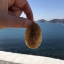 동은다방 이미지