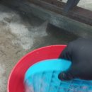 유림워시존 이미지