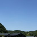 카페459 네이버블로그