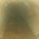 우리들유통 이미지