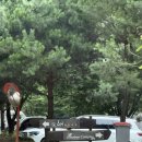 파인트리 - 남구 신복로72번길 6-3 | [포천] 파인트리 글램핑 숙박 후기 / 스파 카라반 / 7월 / 내돈내산 후기 / 포천이동갈비직판장