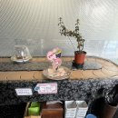 구루메회전초밥