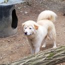 울산농장 이미지