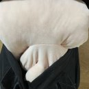 기호보건진료소 | 바쁘다 바빠 현대사회 얼렐레? 실습이다