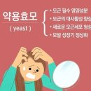 이진약국 이미지