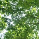 화명수목원 화장실 이미지