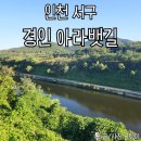 서울 근교 드라이브 명소 경인 아라뱃길 아라마루 전망대 아라폭포 시간표