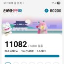 비가 내리다 깜짝 해가 나다 이미지