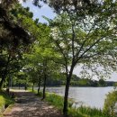 대가복해춘 | 군산 은파호수공원 , 대가 복해춘 , 이성당 , 선유도 다녀온 솔직 후기