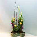 꽃꽂이 초급 이미지