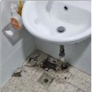 서초대로 275 이미지