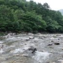춘천사우동우체국 Daum카페