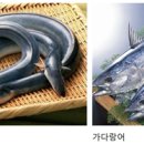 (078) 장어 조림은 폐암을 예방한다. 이미지