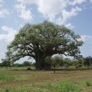 듀레베이커리 이미지