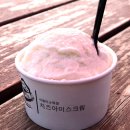 버스정류장 07-070 | 현지인 추천 제주 여행지 직접 가봤다! 제주도에 가야 할 12가지 이유