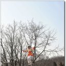 민속촌 이미지