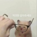 죽공 | 설탕 없이 어떻게 살아가..? 🍷 개강한 대학생의 9월 한달일기
