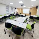 일신매화 이미지