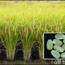 삼광산업개발 이미지