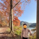 굿모닝영어교실 | 유치원 어린이집 학부모상담 후기 | 만 5세 6세 [기록용]