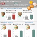 나주2농장 뉴시스